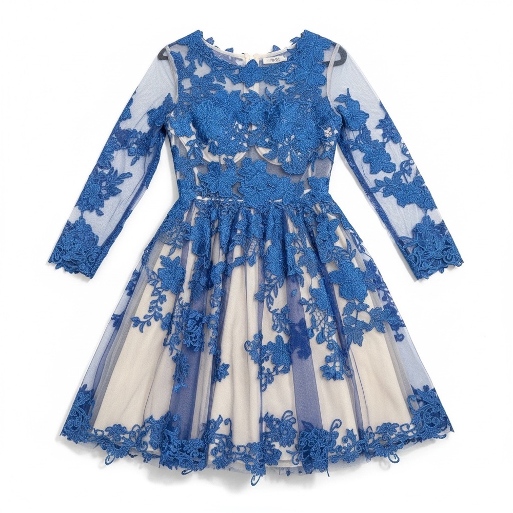 Elegant Blue Lace Overlay Dress